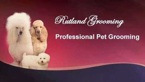 Rutland Grooming photo